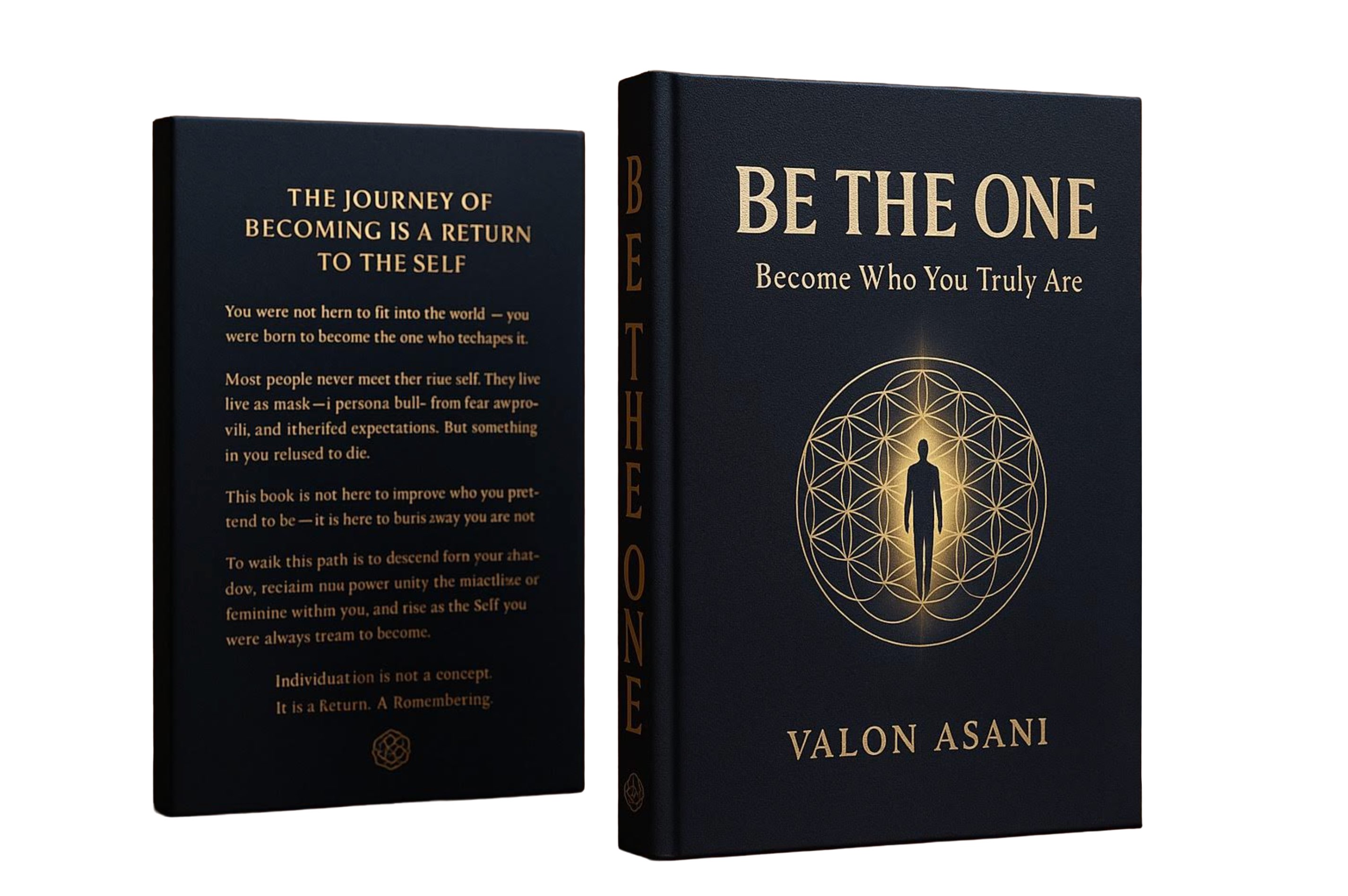 BE THE ONE Buch von Valon Asani - Werde wer du wirklich bist