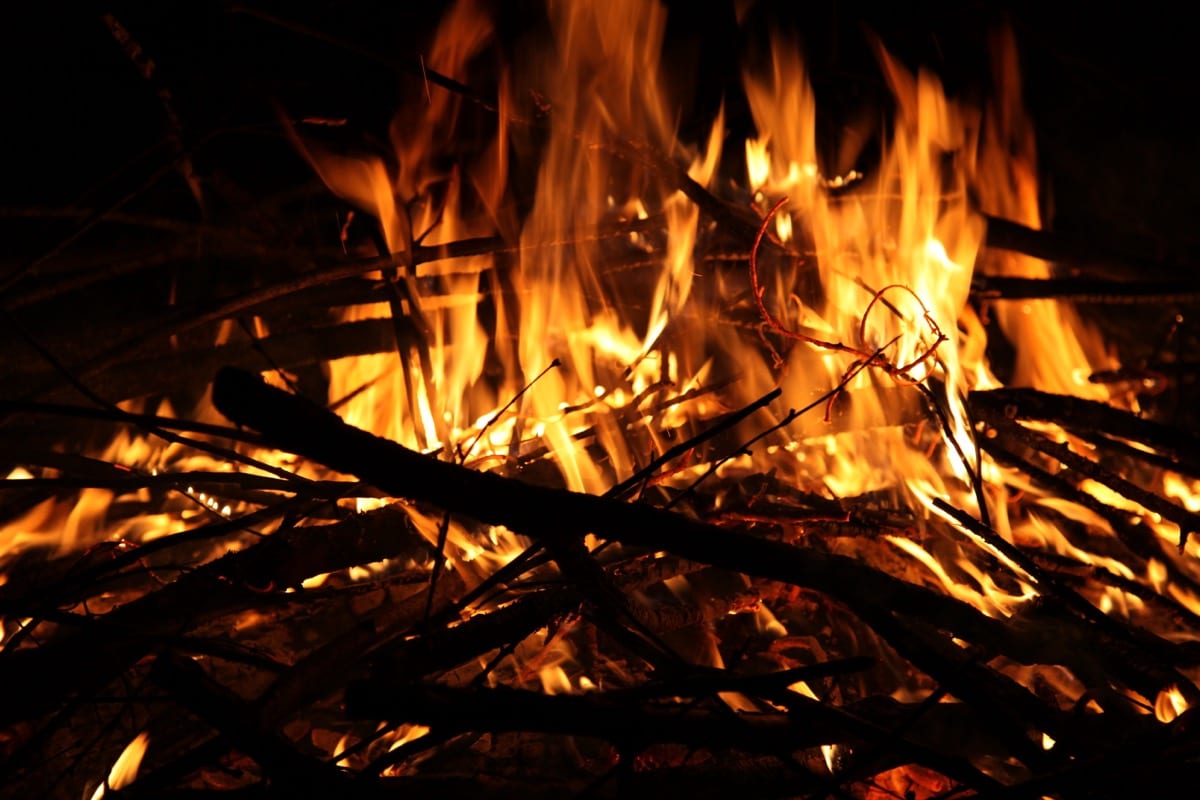 Burn The Backup Plan: Burn Bridges and Win Plan A