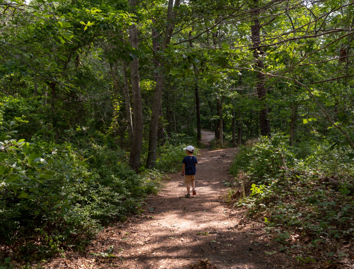 Eine Person geht allein einen sonnenbeschienenen Waldweg entlang, umgeben von Bäumen