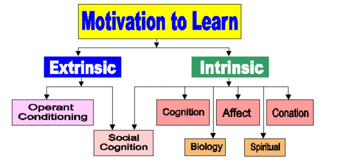 Extrinsic vs intrinsic motivation diagram: external rewards start the game, internal ones keep you playing
