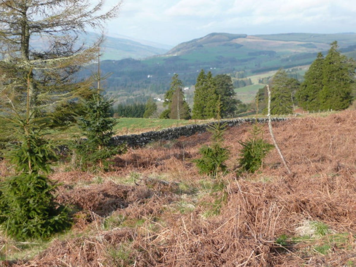 A dry stone wall marking a boundary: emotional boundaries are how peace becomes defensible