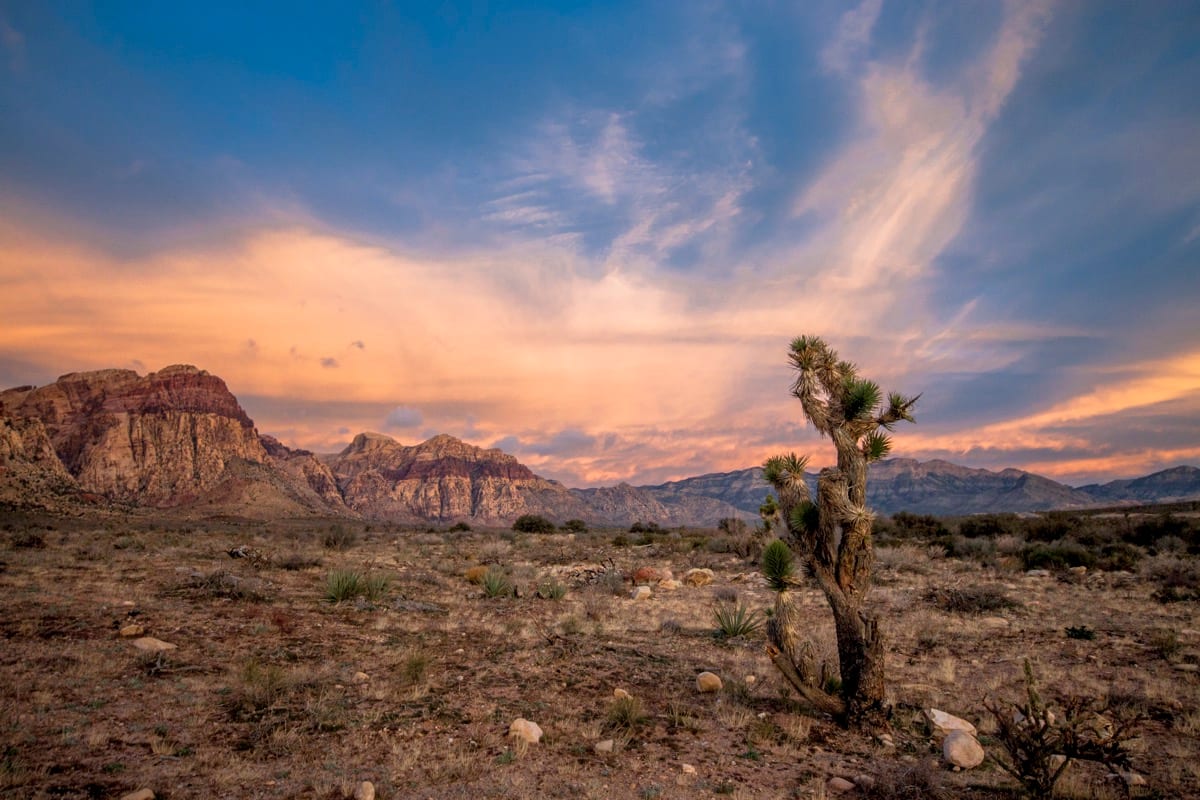 Guard Your Peace: How to Protect Your Inner Peace Daily