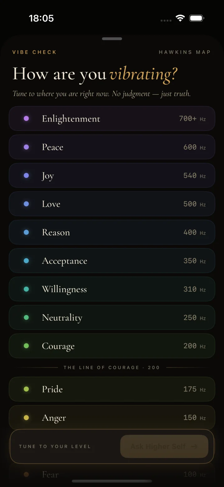 The real Higher Self Vibe Check screen with emotional levels and an Ask Higher Self action