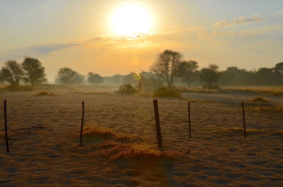 Soft golden light breaking over the Namibian landscape at sunrise