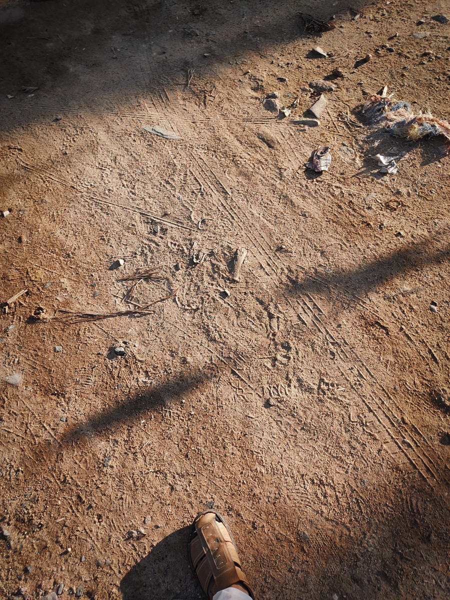 A person jogging alone on an early morning road