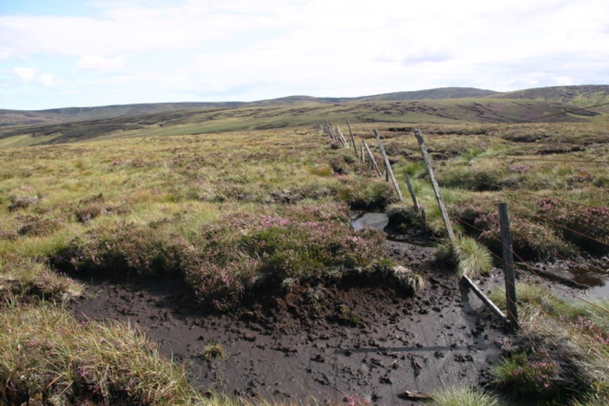 A wooden fence running along a grassy field: setting boundaries is how you mark what is yours