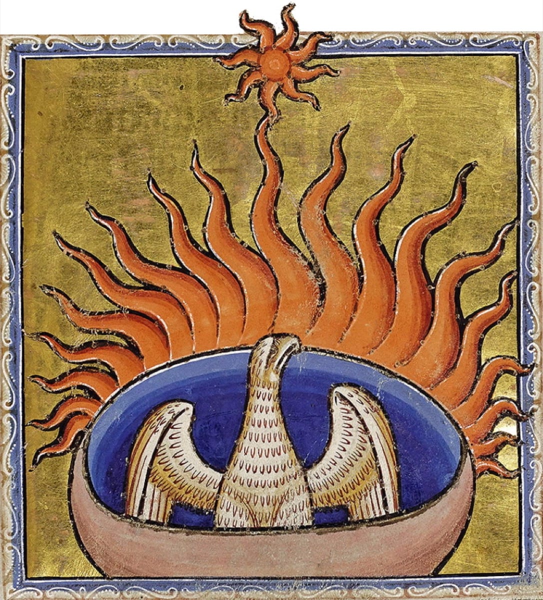 The phoenix as a symbol of transformation through destruction and rebirth