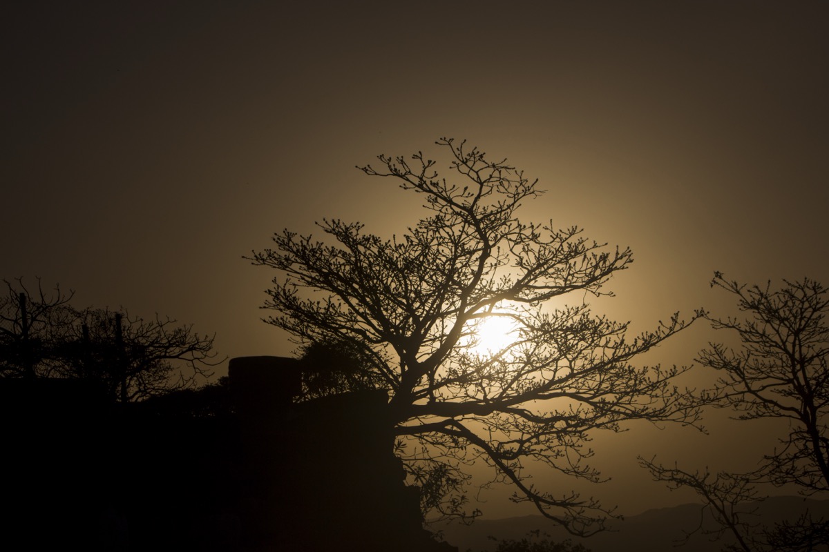 A solitary figure in nature: the stillness of early hours is not empty, it is dense with possibility