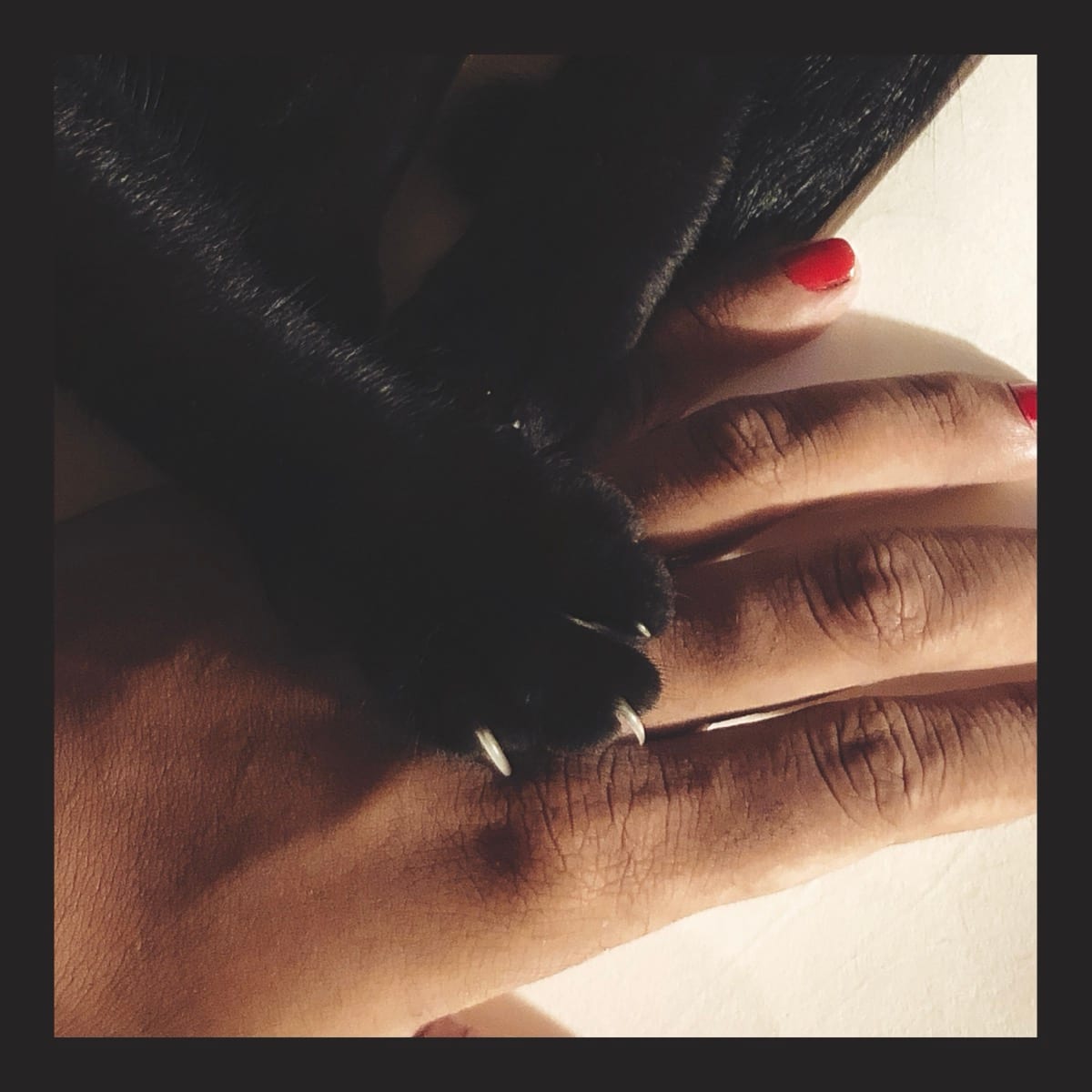 A quiet scene of affection and acceptance: genuine care expressed without demand for return