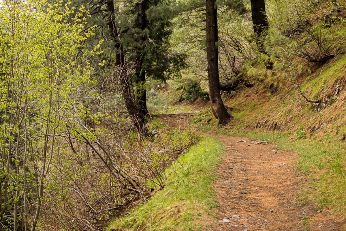 Walking Alone: Purposeful Solitude That Builds You
