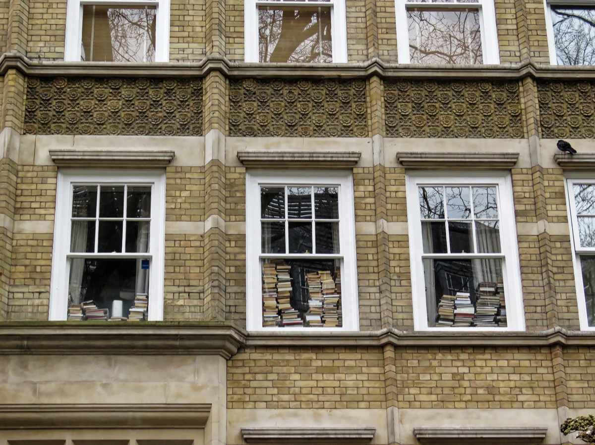 Stacks of books on a windowsill — the accumulated but unacted-upon knowledge of the self-help loop