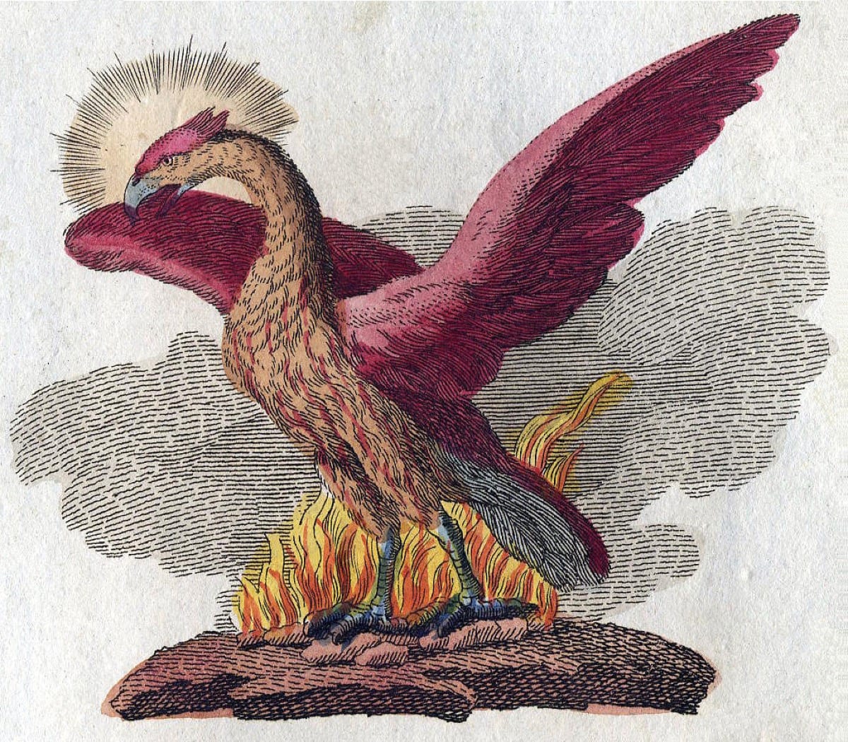 A phoenix rising from flame: the release of the old identity is the condition for the new one to appear