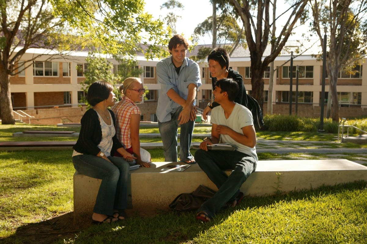 A group of friends in conversation: social influence is not an abstraction. It is the measurable channel through which your environment programs you
